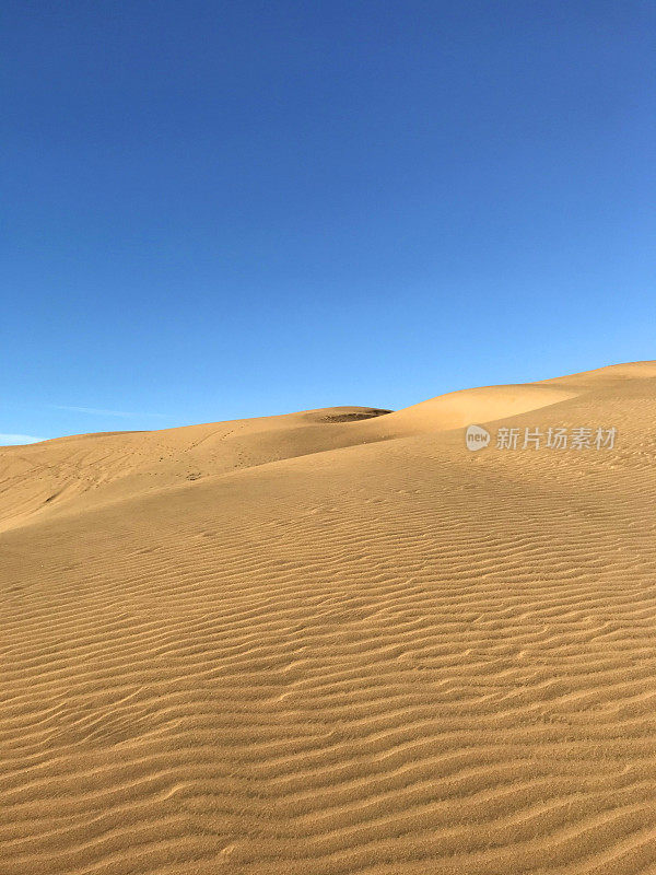 Reñaca /中午的康康沙丘景观，晴朗的蓝天，康康，Viña德尔马，瓦尔帕莱索，智利